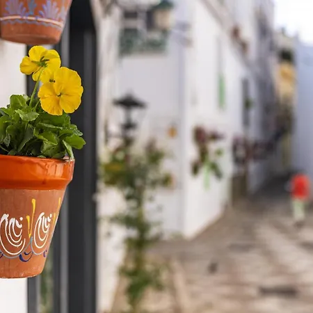 De Lujo Con Jardin Privado Torrox