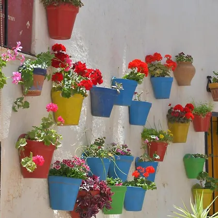 De Lujo Con Jardin Privado *